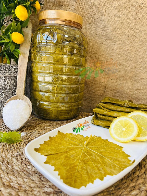 Salamura Asma Yaprak 3'lük