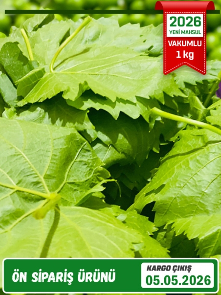 Vakumlu Kuru Basım Asma Yaprak 1 kg