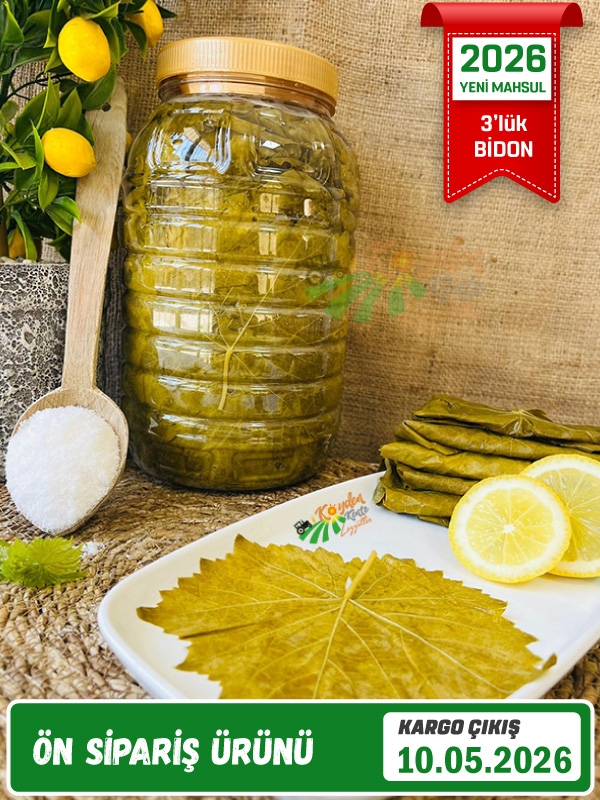 Salamura Asma Yaprak 3'lük Bidon