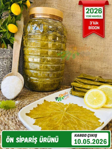 Salamura Asma Yaprak 3'lük Bidon