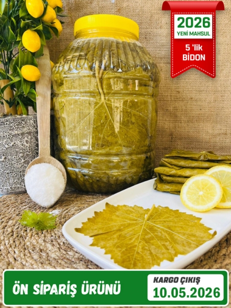 Salamura Asma Yaprak 5'lik Bidon