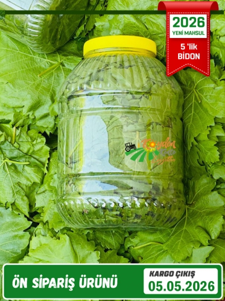 Kuru Basım Asma Yaprak 5'lik Bidon