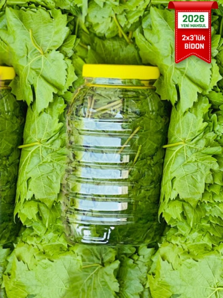 Kuru Basım Asma Yaprak 2x3'lük Bidon